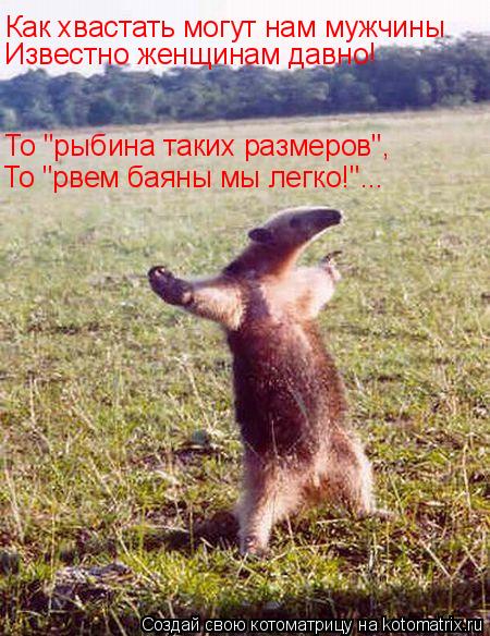 Как хвастать могут нам мужчины Известно женщинам давно! То "рыбина таких размеров", То "рвем баяны мы... Котоматрица: Как хвастать могут нам мужчины Известно женщинам давно! То "рыбина таких размеров", То "рвем баяны мы легко!"...