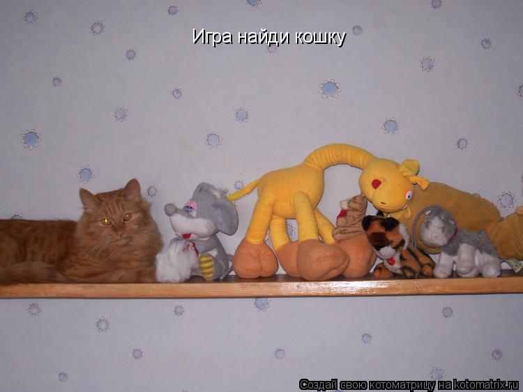 Игра найди кошку... Котоматрица: Игра найди кошку