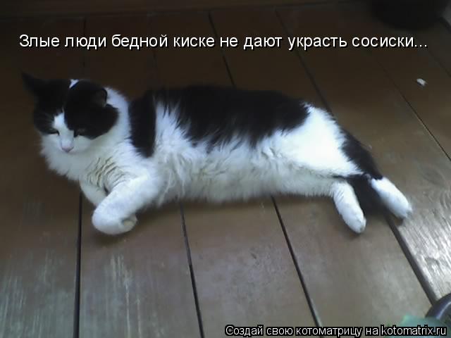 Злые люди бедной киске не дают украсть сосиски...... Котоматрица: Злые люди бедной киске не дают украсть сосиски...