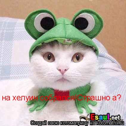 на хелуин собрался!Страшно а?... Котоматрица: на хелуин собрался!Страшно а?