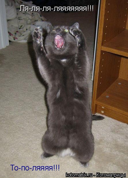 Ля-ля-ля-ляяяяяяя!!! То-по-ляяяя!!!... Котоматрица: Ля-ля-ля-ляяяяяяя!!! То-по-ляяяя!!!