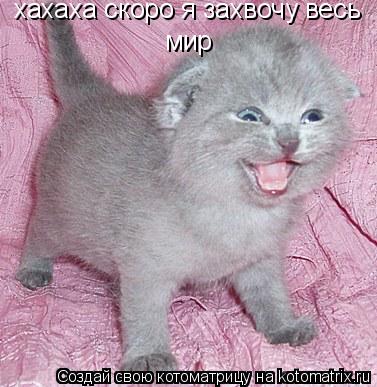 хахаха скоро я захвочу весь мир... Котоматрица: хахаха скоро я захвочу весь мир