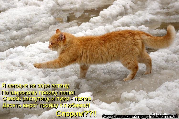 Спорим??!! Десять верст пройду к любимой! Сквозь распутицу и лужи - прямо Я сегодня на заре встану, П... Котоматрица: Спорим??!! Десять верст пройду к любимой! Сквозь распутицу и лужи - прямо Я сегодня на заре встану, По широкому пройду полю!
