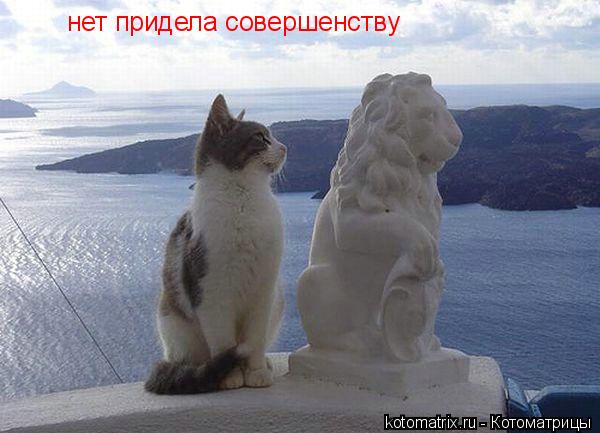 нет придела совершенству... Котоматрица: нет придела совершенству