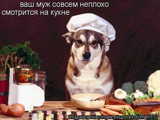ваш муж совсем неплохо смотрится на кухне... Котоматрица: ваш муж совсем неплохо смотрится на кухне