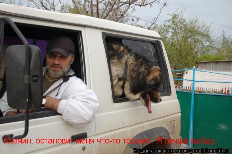Хозяин, останови! меня что-то тошнит.. Я лучше выйду...... Котоматрица: Хозяин, останови! меня что-то тошнит.. Я лучше выйду...