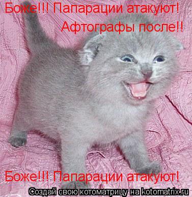 Боже!!! Папарации атакуют! Боже!!! Папарации атакуют! Афтографы после!!... Котоматрица: Боже!!! Папарации атакуют! Боже!!! Папарации атакуют! Афтографы после!!