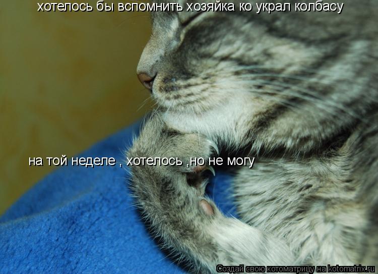хотелось бы вспомнить хозяйка ко украл колбасу на той неделе , хотелось ,но не могу... Котоматрица: хотелось бы вспомнить хозяйка ко украл колбасу на той неделе , хотелось ,но не могу