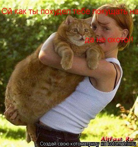 Ой как ты похудел Ой как ты похудел тебе покущать надо!! да не охото!! да не охото!!... Котоматрица: Ой как ты похудел Ой как ты похудел тебе покущать надо!! да не охото!! да не охото!!