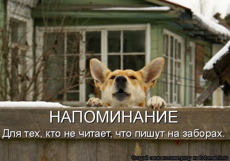 НАПОМИНАНИЕ Для тех, кто не читает, что пишут на заборах.... Котоматрица: НАПОМИНАНИЕ Для тех, кто не читает, что пишут на заборах.