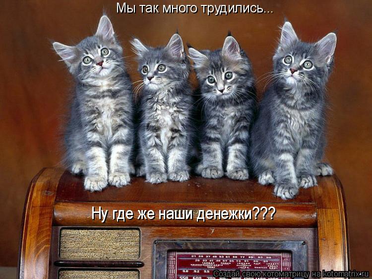 Мы так много трудились... Ну где же наши денежки???... Котоматрица: Мы так много трудились... Ну где же наши денежки???