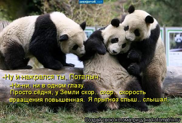 -Ни-ни, ни в одном глазу. Просто сёдня, у Земли скор.. скор.. скорость враащения повышенная. Я прыг... Котоматрица: -Ни-ни, ни в одном глазу. Просто сёдня, у Земли скор.. скор.. скорость враащения повышенная. Я прыгноз слыш.. слышал. -Ну и нажрался ты, Потапыч.