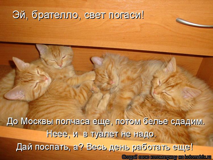 Эй, брателло, свет погаси! До Москвы полчаса еще, потом белье сдадим. Неее, и в туалет не надо. Дай... Котоматрица: Эй, брателло, свет погаси! До Москвы полчаса еще, потом белье сдадим. Неее, и в туалет не надо. Дай поспать, а? Весь день работать еще!
