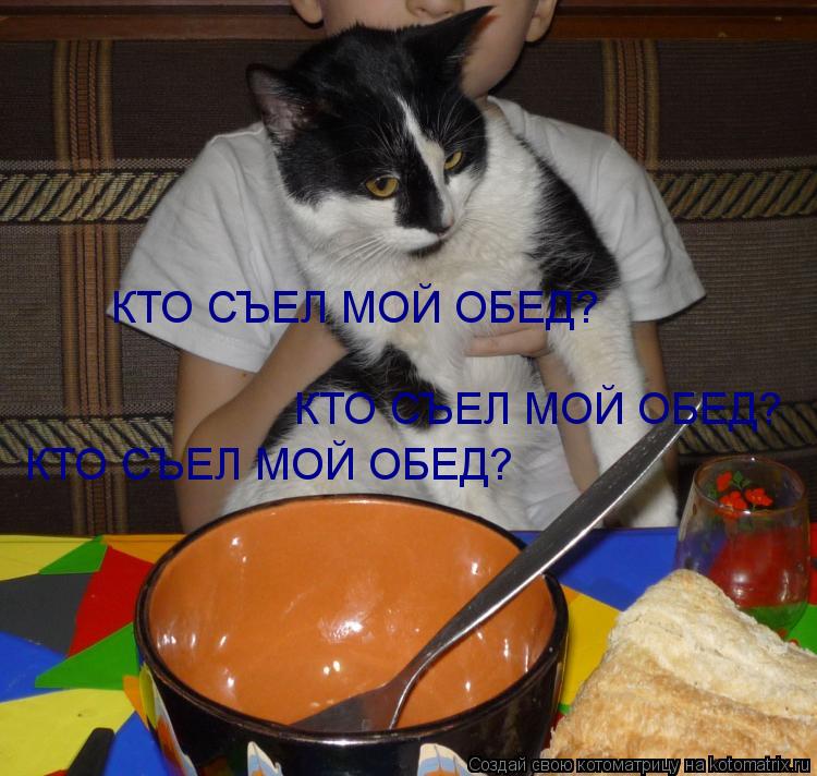 КТО СЪЕЛ МОЙ ОБЕД? КТО СЪЕЛ МОЙ ОБЕД? КТО СЪЕЛ МОЙ ОБЕД?... Котоматрица: КТО СЪЕЛ МОЙ ОБЕД? КТО СЪЕЛ МОЙ ОБЕД? КТО СЪЕЛ МОЙ ОБЕД?