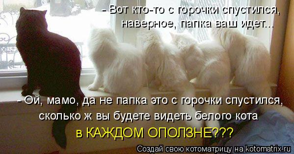 - Вот кто-то с горочки спустился, наверное, папка ваш идет... - Ой, мамо, да не папка это с горочки ... Котоматрица: - Вот кто-то с горочки спустился, наверное, папка ваш идет... - Ой, мамо, да не папка это с горочки спустился, сколько ж вы будете видеть белого