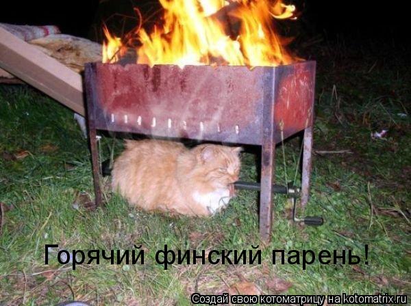 Горячий финский парень!... Котоматрица: Горячий финский парень!