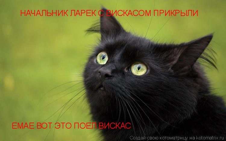 НАЧАЛЬНИК ЛАРЕК С ВИСКАСОМ ПРИКРЫЛИ ЕМАЕ ВОТ ЭТО ПОЕЛ ВИСКАС... Котоматрица: НАЧАЛЬНИК ЛАРЕК С ВИСКАСОМ ПРИКРЫЛИ ЕМАЕ ВОТ ЭТО ПОЕЛ ВИСКАС