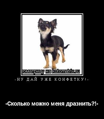 -Ну дай уже конфетку!- -Сколько можно меня дразнить?!-... Котоматрица: -Ну дай уже конфетку!- -Сколько можно меня дразнить?!-