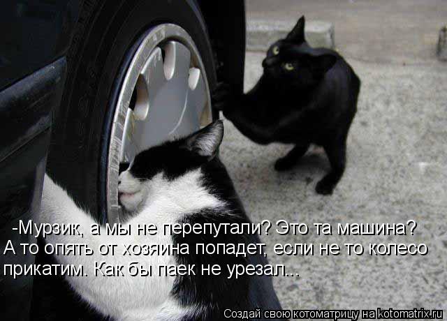 Котоматрица: -Мурзик, а мы не перепутали? Это та машина? А то опять от хозяина попадет, если не то колесо прикатим. Как бы паек не урезал...