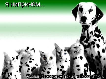 я нипричём...... Котоматрица: я нипричём...