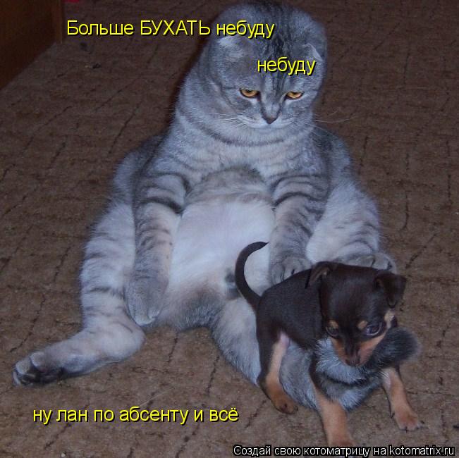 Больше БУХАТЬ небуду небуду ну лан по абсенту и всё... Котоматрица: Больше БУХАТЬ небуду небуду ну лан по абсенту и всё