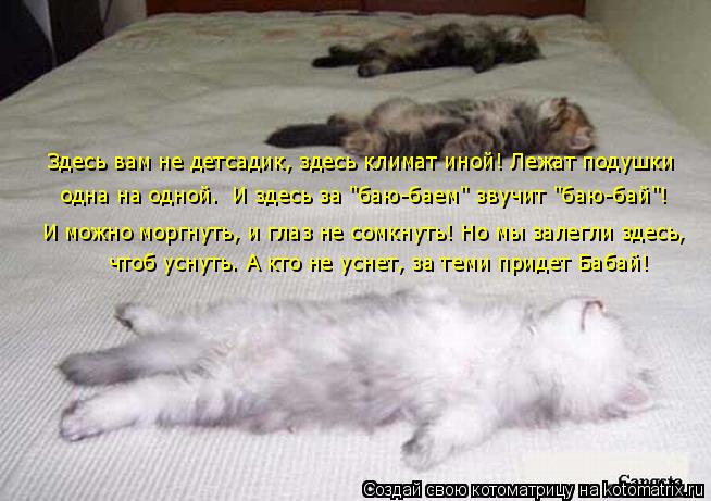 И можно моргнуть, и глаз не сомкнуть! Но мы залегли здесь, одна на одной. И здесь за "баю-баем" зву... Котоматрица: И можно моргнуть, и глаз не сомкнуть! Но мы залегли здесь, одна на одной. И здесь за "баю-баем" звучит "баю-бай"! Здесь вам не детсадик, здесь к