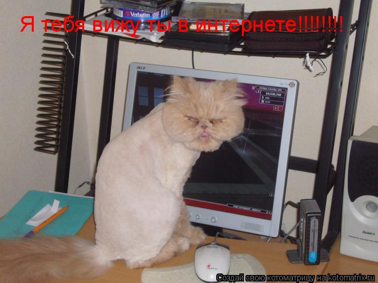 Котоматрица: Я тебя вижу ты в интернете!!!!!!!!