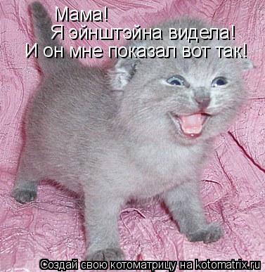 Мама! Я эйнштэйна видела! И он мне показал вот так!... Котоматрица: Мама! Я эйнштэйна видела! И он мне показал вот так!