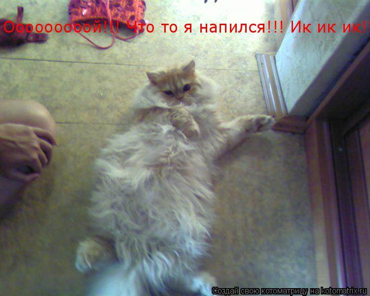 Ооооооооой!!! Что то я напился!!! Ик ик ик!!!... Котоматрица: Ооооооооой!!! Что то я напился!!! Ик ик ик!!!