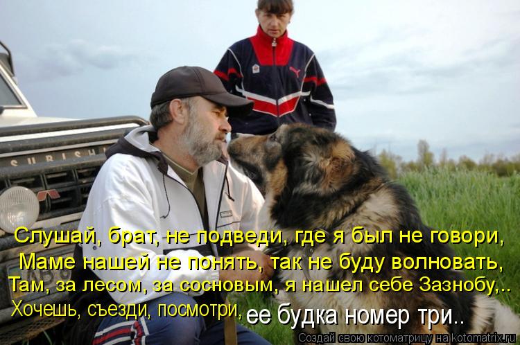 Слушай, брат, не подведи, где я был не говори, Маме нашей не понять, так не буду волновать, Хочешь, с... Котоматрица: Слушай, брат, не подведи, где я был не говори, Маме нашей не понять, так не буду волновать, Хочешь, съезди, посмотри, Там, за лесом, за сосновым,