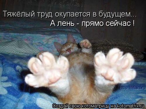 Тяжёлый труд окупается в будущем... А лень - прямо сейчас !... Котоматрица: Тяжёлый труд окупается в будущем... А лень - прямо сейчас !