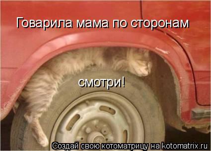Говарила мама по сторонам смотри!... Котоматрица: Говарила мама по сторонам смотри!