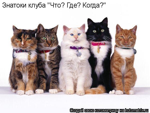 Знатоки клуба "Что? Где? Когда?"... Котоматрица: Знатоки клуба "Что? Где? Когда?"
