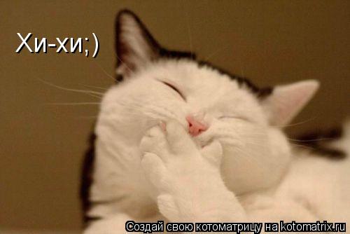 Хи-хи;)... Котоматрица: Хи-хи;)