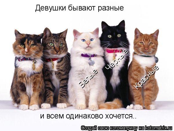 Девушки бывают разные Черные Белые Красные и всем одинаково хочется..... Котоматрица: Девушки бывают разные Черные Белые Красные и всем одинаково хочется..