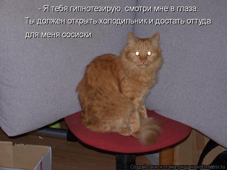 - Я тебя гипнотезирую, смотри мне в глаза. Ты должен открыть холодильник и достать оттуда для меня с... Котоматрица: - Я тебя гипнотезирую, смотри мне в глаза. Ты должен открыть холодильник и достать оттуда для меня сосиски