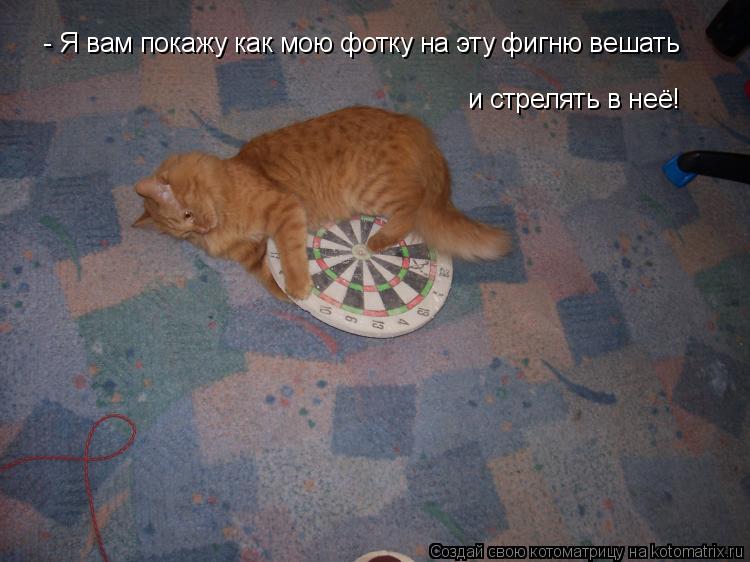 - Я вам покажу как мою фотку на эту фигню вешать и стрелять в неё!... Котоматрица: - Я вам покажу как мою фотку на эту фигню вешать и стрелять в неё!