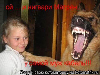 ой ....и нигвари Матрён.. у самой муж кабель!!!... Котоматрица: ой ....и нигвари Матрён.. у самой муж кабель!!!