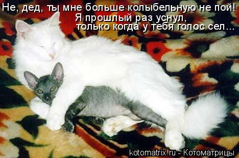 Не, дед, ты мне больше колыбельную не пой! Я прошлый раз уснул, только когда у тебя голос сел...... Котоматрица: Не, дед, ты мне больше колыбельную не пой! Я прошлый раз уснул, только когда у тебя голос сел...