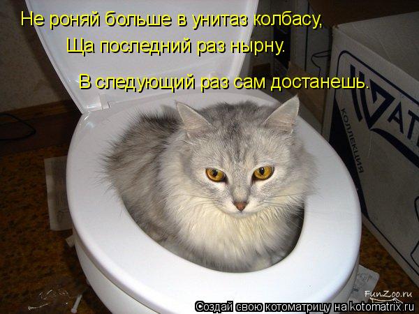 Не роняй больше в унитаз колбасу, Ща последний раз нырну. В следующий раз сам достанешь.... Котоматрица: Не роняй больше в унитаз колбасу, Ща последний раз нырну. В следующий раз сам достанешь.