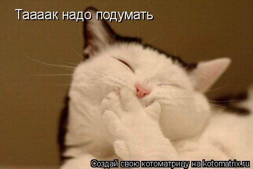 Таааак надо подумать... Котоматрица: Таааак надо подумать