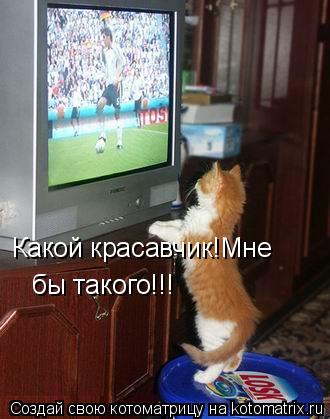 Какой красавчик!Мне бы такого!!!... Котоматрица: Какой красавчик!Мне бы такого!!!