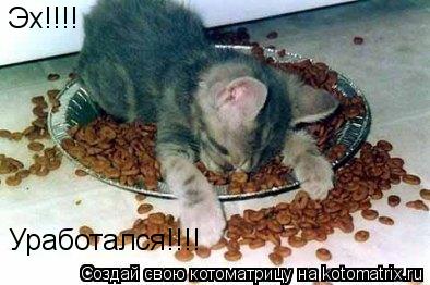 Эх!!!! Уработался!!!!... Котоматрица: Эх!!!! Уработался!!!!