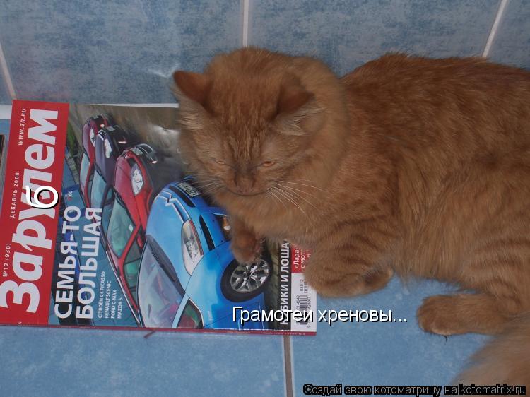 б Грамотеи хреновы...... Котоматрица: б Грамотеи хреновы...