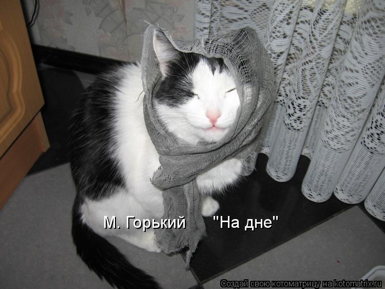 М. Горький "На дне"... Котоматрица: М. Горький "На дне"