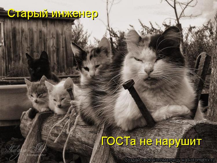 Старый инженер ГОСТа не нарушит... Котоматрица: Старый инженер ГОСТа не нарушит
