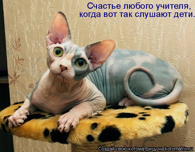 Котоматрица: Счастье любого учителя,  когда вот так слушают дети.