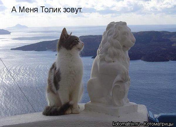 А Меня Толик зовут.... Котоматрица: А Меня Толик зовут.