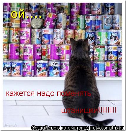 ой.... кажется надо поменять штанишки!!!!!!!!... Котоматрица: ой.... кажется надо поменять штанишки!!!!!!!!