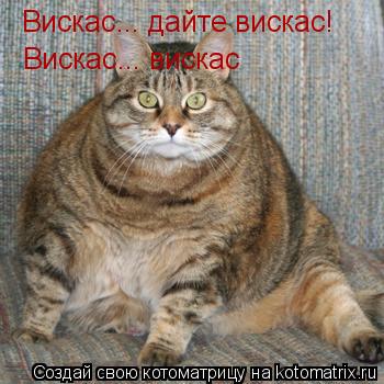 Вискас... дайте вискас! Вискас... вискас... Котоматрица: Вискас... дайте вискас! Вискас... вискас